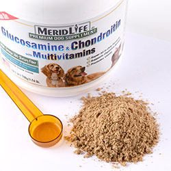 Glucosamine & Chondroitin with Multivitamins Image