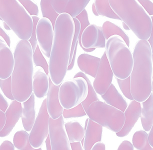 Probiotics TOTAL Flora Image